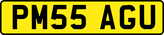 PM55AGU