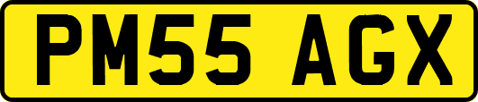 PM55AGX