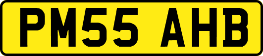 PM55AHB