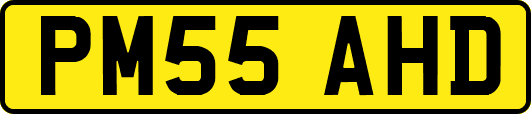 PM55AHD