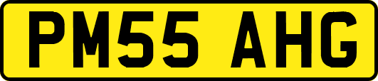 PM55AHG