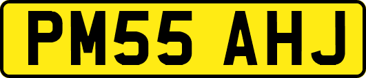 PM55AHJ