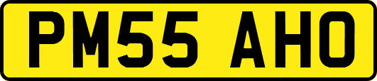 PM55AHO