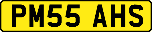 PM55AHS