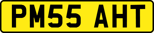 PM55AHT