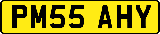 PM55AHY