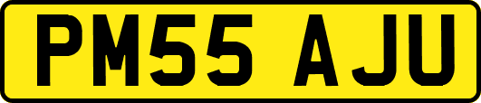 PM55AJU