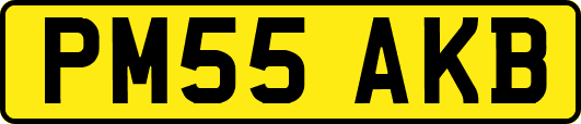 PM55AKB
