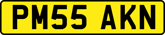 PM55AKN