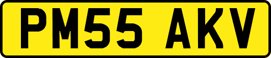 PM55AKV