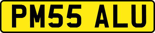 PM55ALU