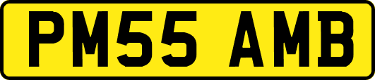 PM55AMB
