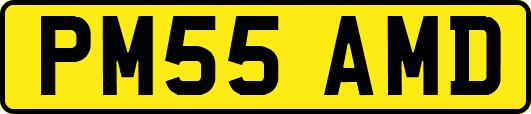 PM55AMD