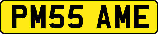 PM55AME
