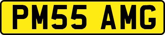 PM55AMG