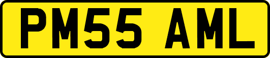 PM55AML