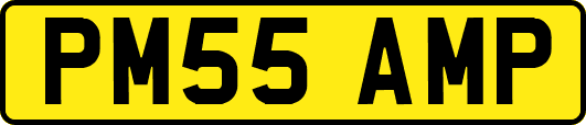 PM55AMP