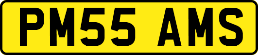 PM55AMS