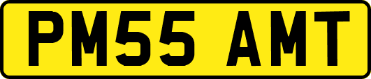 PM55AMT