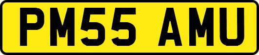 PM55AMU