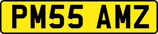 PM55AMZ