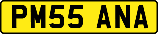 PM55ANA
