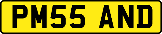 PM55AND