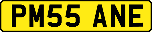 PM55ANE