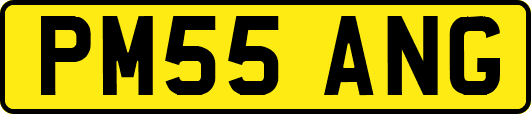 PM55ANG