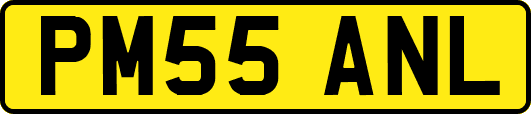 PM55ANL