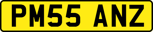 PM55ANZ