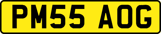 PM55AOG