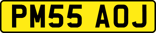 PM55AOJ