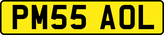 PM55AOL