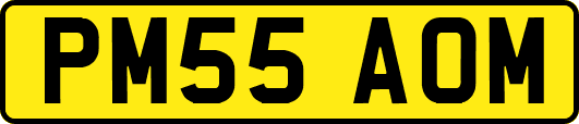 PM55AOM