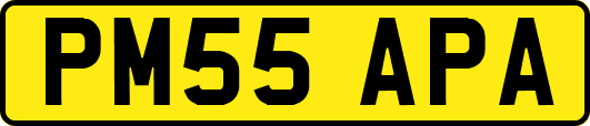 PM55APA