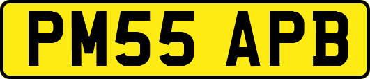 PM55APB