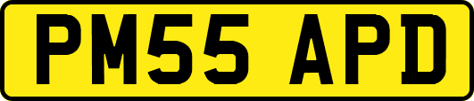 PM55APD