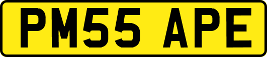 PM55APE