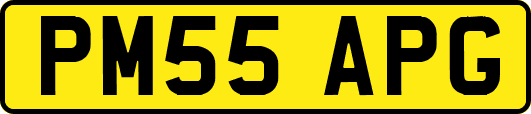 PM55APG