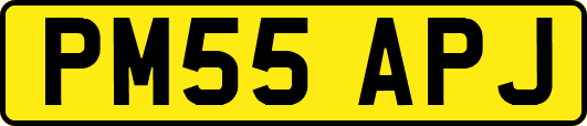 PM55APJ