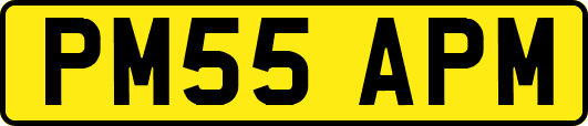 PM55APM