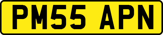 PM55APN