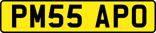 PM55APO