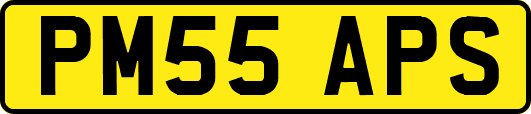 PM55APS