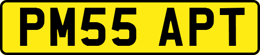 PM55APT
