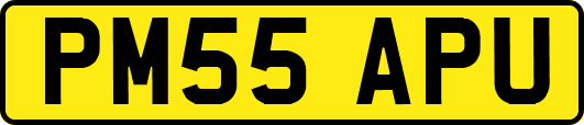 PM55APU