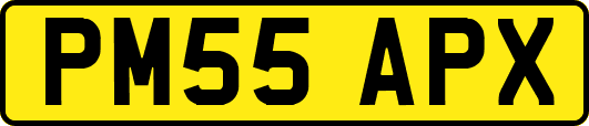 PM55APX