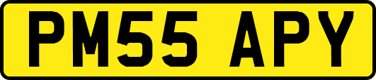 PM55APY
