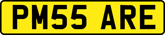 PM55ARE